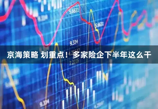 京海策略 划重点！多家险企下半年这么干